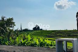 Tanah Kavling Dijual di Pererenan, Badung dengan Luas Tanah 390m2 Tanah Kavling Dijual di Pererenan, Badung dengan Luas Tanah 390m2