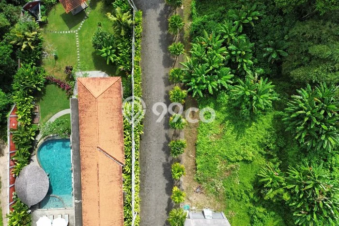 Tanah Disewakan Lokasi Tabanan Seluas 1200m2 Strategis dan Aman Tanah Disewakan Lokasi Tabanan Seluas 1200m2 Strategis dan Aman