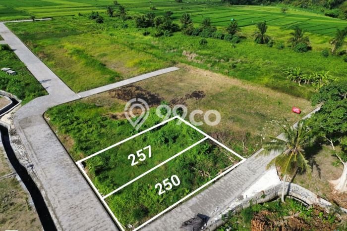 Kavling Tanah untuk Dijual di Kedungu, Tabanan, Luas 250m2 Kavling Tanah untuk Dijual di Kedungu, Tabanan, Luas 250m2