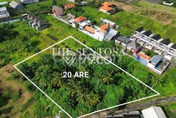 Tanah Disewa Strategis di Badung Luas 2000m2 Tanah Disewa Strategis di Badung Luas 2000m2