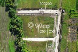 Tanah Dijual Area Strategis di Nyanyi Badung 390m2 Tanah Dijual Area Strategis di Nyanyi Badung 390m2