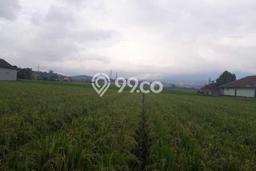 Tanah Investasi Dijual di Bandung Punya Luas 10200m2 Tanah Investasi Dijual di Bandung Punya Luas 10200m2