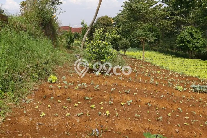 Kavling Tanah untuk Dijual di Ciumbuleuit, Bandung, Luas 2345m2 Kavling Tanah untuk Dijual di Ciumbuleuit, Bandung, Luas 2345m2