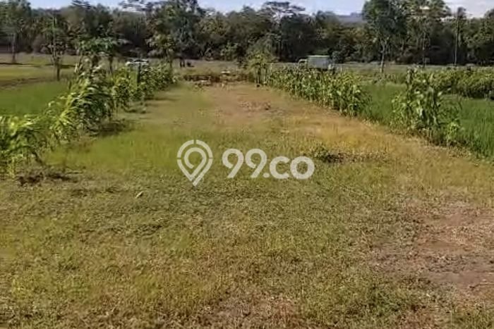 Lahan Strategis di Wates Dijual dengan Luas 1021m2 Lahan Strategis di Wates Dijual dengan Luas 1021m2