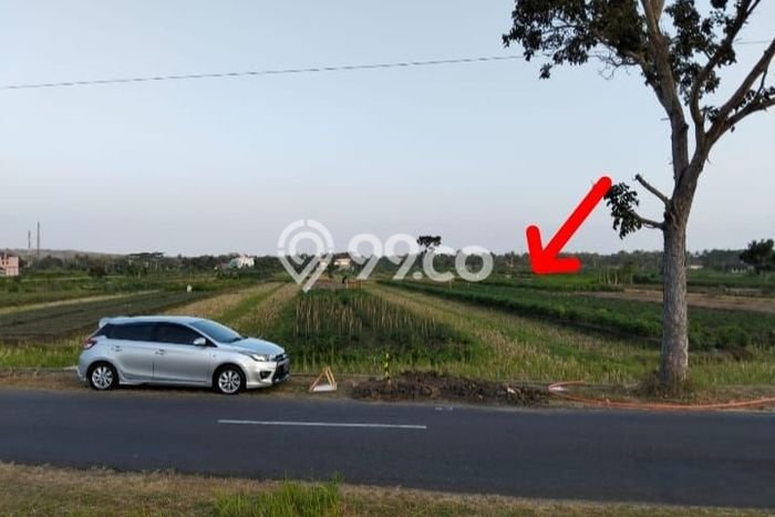 Lahan Strategis di Wates Dijual dengan Luas 1021m2 Lahan Strategis di Wates Dijual dengan Luas 1021m2