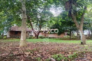 Dijual Tanah di Bogor, Luas 9616m2 SHM Dijual Tanah di Bogor, Luas 9616m2 SHM
