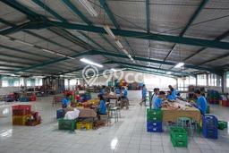Gudang Bagus Dijual di Kapuk Kamal Jakarta Barat Strategis Cocok untuk Kembangkan Bisnis Gudang Bagus Dijual di Kapuk Kamal Jakarta Barat Strategis Cocok untuk Kembangkan Bisnis