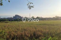 Tanah Kavling di Sidoarjo Sidoarjo Disewakan dengan Luas 10700m2 Tanah Kavling di Sidoarjo Sidoarjo Disewakan dengan Luas 10700m2