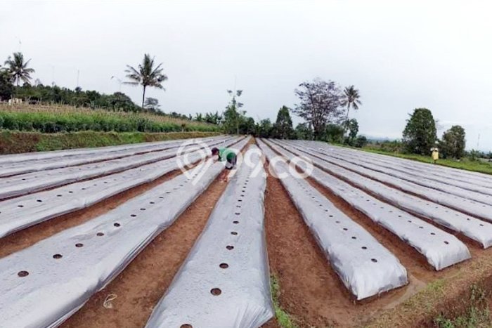 Tanah Kavling Dijual di Purwakarta dengan Spesifikasi 16000m2 Tanah Kavling Dijual di Purwakarta dengan Spesifikasi 16000m2