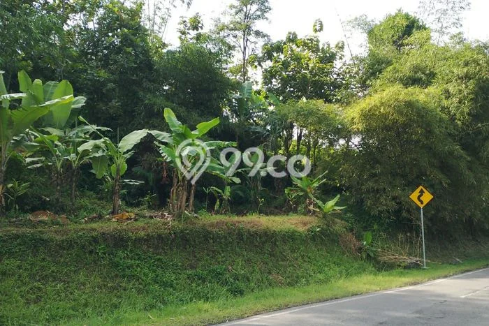 Lahan Kosong Dijual di Sumedang dengan Area 4384m2 Lahan Kosong Dijual di Sumedang dengan Area 4384m2