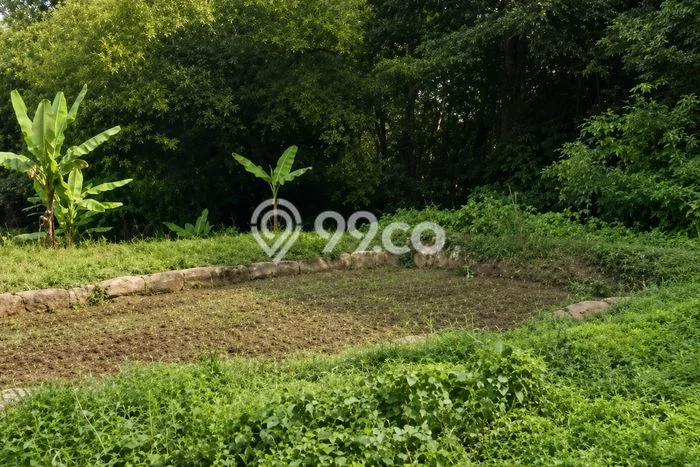 Tanah di Cimenyan, Bandung Luas 5095m2 Dijual Segera Tanah di Cimenyan, Bandung Luas 5095m2 Dijual Segera