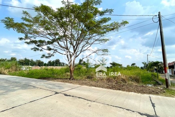 Dijual Tanah di Delanggu Klaten Luas 2315m2 SHM Dijual Tanah di Delanggu Klaten Luas 2315m2 SHM