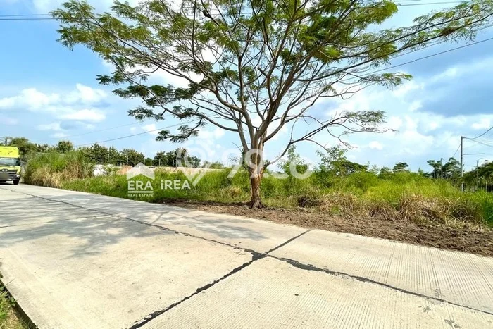 Dijual Tanah di Delanggu Klaten Luas 2315m2 SHM Dijual Tanah di Delanggu Klaten Luas 2315m2 SHM