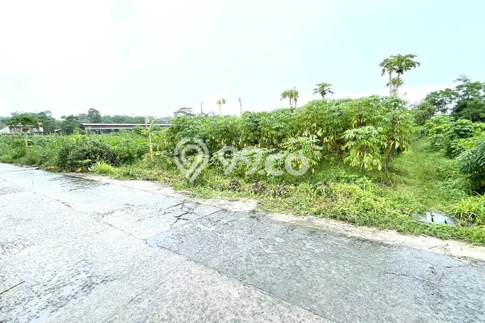 Tanah di Teras, Boyolali Luas 1000m2 Dijual Segera Tanah di Teras, Boyolali Luas 1000m2 Dijual Segera