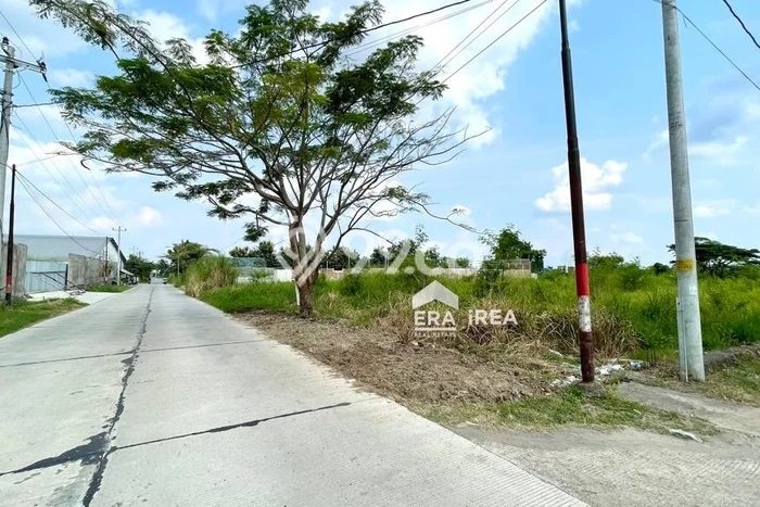 Dijual Tanah di Delanggu Klaten Luas 2315m2 SHM Dijual Tanah di Delanggu Klaten Luas 2315m2 SHM