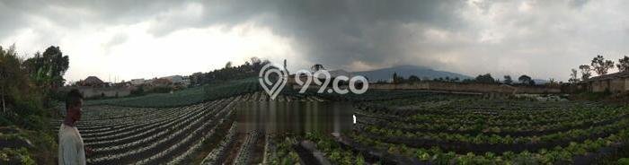 Lahan Kosong Dijual di Bandung Barat dengan Area 10580m2 Lahan Kosong Dijual di Bandung Barat dengan Area 10580m2