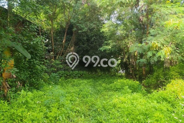 Tanah Kavling Dijual di Purwakarta Kota, Purwakarta dengan Luas Tanah 8910m2 Tanah Kavling Dijual di Purwakarta Kota, Purwakarta dengan Luas Tanah 8910m2