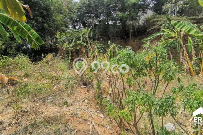 Tanah Dijual Lokasi Semarang Barat Semarang - Tanah Dijual Lokasi Semarang Barat Semarang -