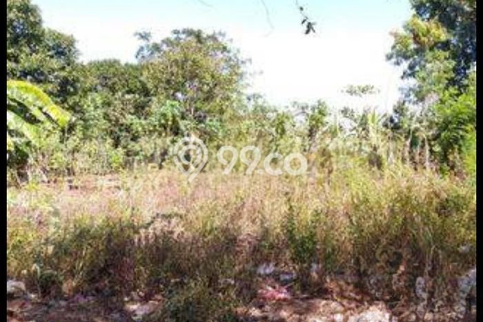 Lahan untuk Dijual di Ngaliyan Semarang Luas 419m2 Lahan untuk Dijual di Ngaliyan Semarang Luas 419m2