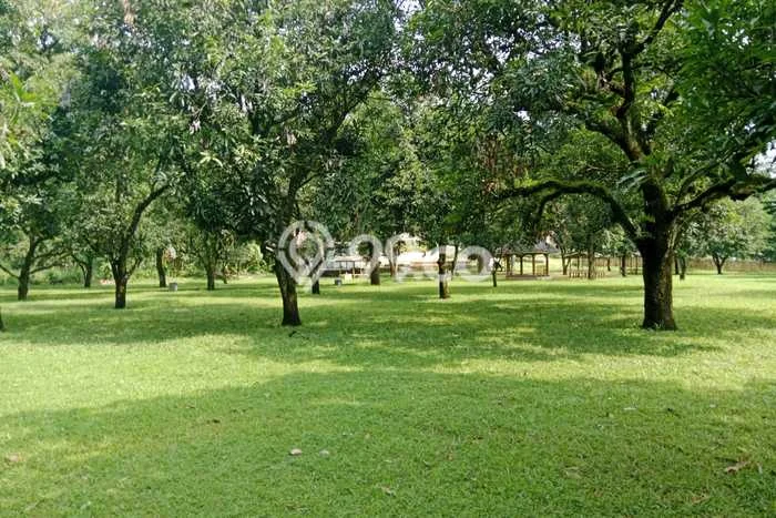 Tanah Dijual Lokasi Strategis di Majalengka dengan Luas 29975m2 Tanah Dijual Lokasi Strategis di Majalengka dengan Luas 29975m2