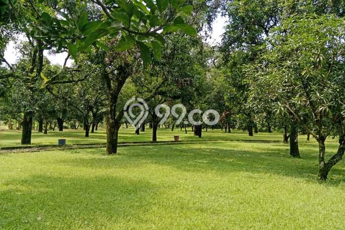 Tanah Dijual Lokasi Strategis di Majalengka dengan Luas 29975m2 Tanah Dijual Lokasi Strategis di Majalengka dengan Luas 29975m2