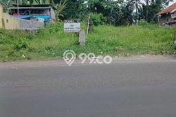 Tanah Dijual Lokasi Anyer, Anyer dengan Luas Tanah 1996m2 dan Status - Tanah Dijual Lokasi Anyer, Anyer dengan Luas Tanah 1996m2 dan Status -