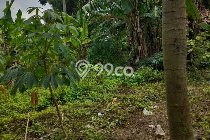 Tanah Dijual Lokasi Purwakarta, Cilegon Luas 350m2 Legalitas Aman Tanah Dijual Lokasi Purwakarta, Cilegon Luas 350m2 Legalitas Aman