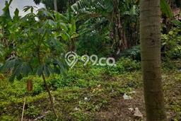 Tanah Dijual Lokasi Purwakarta, Cilegon Luas 350m2 Legalitas Aman Tanah Dijual Lokasi Purwakarta, Cilegon Luas 350m2 Legalitas Aman