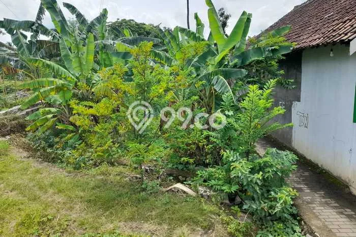 Tanah Dijual Lokasi Purwakarta, Cilegon Luas 350m2 Legalitas Aman Tanah Dijual Lokasi Purwakarta, Cilegon Luas 350m2 Legalitas Aman