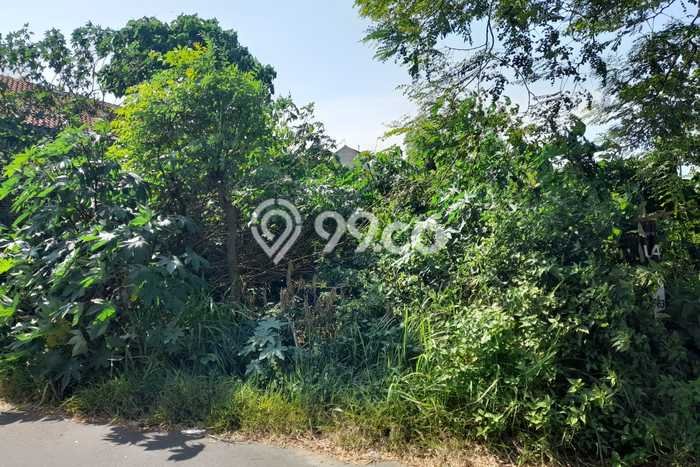 Tanah Dijual di Cilegon Seluas 500m2 Strategis Tanah Dijual di Cilegon Seluas 500m2 Strategis