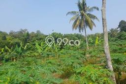 Kavling Tanah Dijual di Petir, Serang, Luas 20700m2 Area Strategis Kavling Tanah Dijual di Petir, Serang, Luas 20700m2 Area Strategis