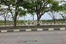 Tanah Kavling di Bojonegara Serang Disewakan dengan Luas 5000m2 Tanah Kavling di Bojonegara Serang Disewakan dengan Luas 5000m2
