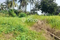 Lahan untuk Dijual di Citangkil Cilegon Luas 95m2 Lahan untuk Dijual di Citangkil Cilegon Luas 95m2