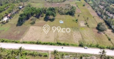 Tanah Dijual di Pandeglang Seluas 41666m2 Strategis Tanah Dijual di Pandeglang Seluas 41666m2 Strategis