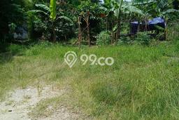 Tanah Kavling untuk Dijual di Bojonegara Serang 1000m2 Tanah Kavling untuk Dijual di Bojonegara Serang 1000m2