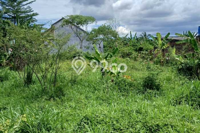 Tanah Dijual Lokasi Cipocok Jaya, Serang Luas 645m2 Legalitas Aman Tanah Dijual Lokasi Cipocok Jaya, Serang Luas 645m2 Legalitas Aman