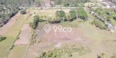 Tanah Dijual di Pandeglang Seluas 41666m2 Strategis Tanah Dijual di Pandeglang Seluas 41666m2 Strategis