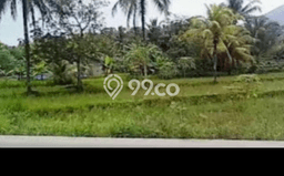 Tanah Dijual di Pandeglang Seluas 41666m2 Strategis Tanah Dijual di Pandeglang Seluas 41666m2 Strategis