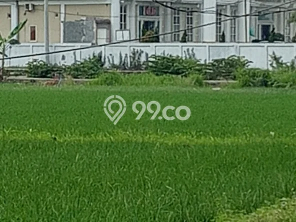 Lahan Strategis di Babat Dijual dengan Luas 3573m2 Lahan Strategis di Babat Dijual dengan Luas 3573m2