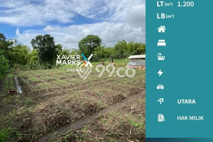 Tanah untuk Dijual Lokasi Dau, Malang Luas 1200m2 SHM Tanah untuk Dijual Lokasi Dau, Malang Luas 1200m2 SHM
