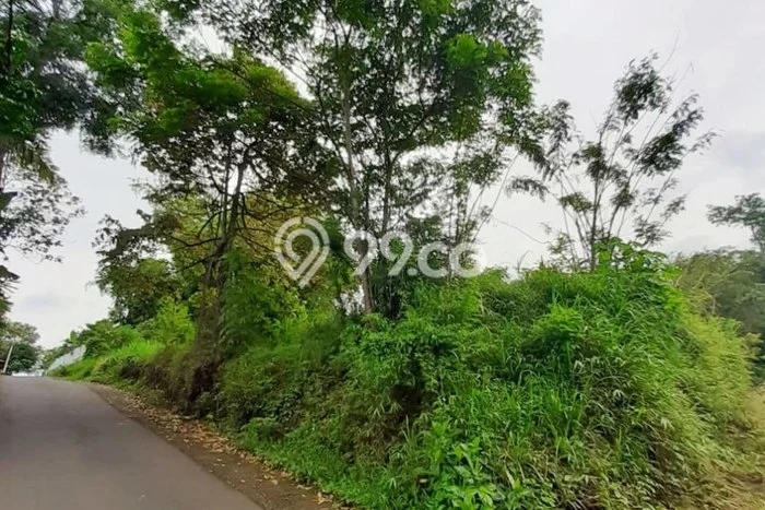 Tanah Dijual Lokasi Dau, Malang dengan Luas Tanah 1640m2 dan Status SHM Tanah Dijual Lokasi Dau, Malang dengan Luas Tanah 1640m2 dan Status SHM