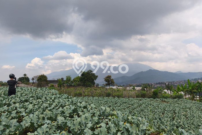 Tanah Dijual Lokasi Bumiaji, Batu Luas 2563m2 Legalitas Aman Tanah Dijual Lokasi Bumiaji, Batu Luas 2563m2 Legalitas Aman