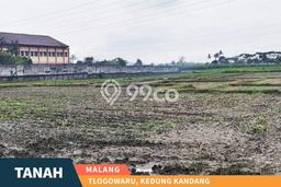 Kavling Tanah di Kedungkandang Dijual Luas 5773m2 Legalitas SHM Kavling Tanah di Kedungkandang Dijual Luas 5773m2 Legalitas SHM