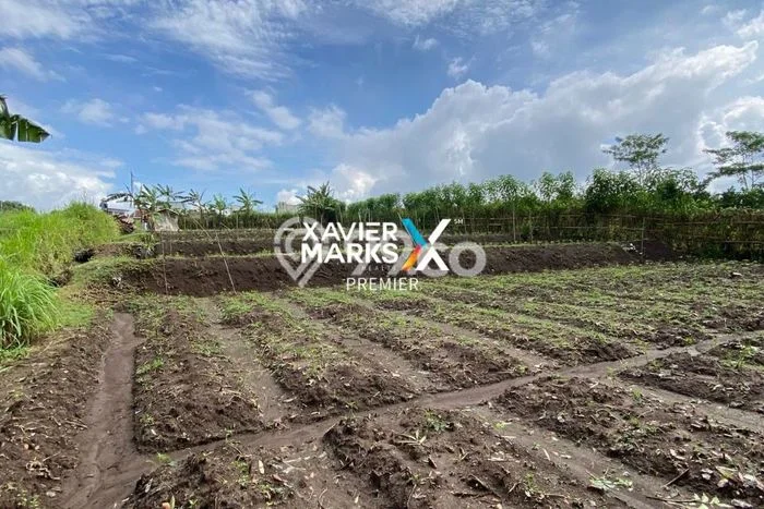 Tanah Kavling untuk Dijual di Dau Malang 1200m2 Tanah Kavling untuk Dijual di Dau Malang 1200m2