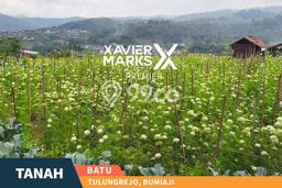 Tanah Dijual Lokasi Bumiaji, Batu Luas 2563m2 Legalitas Aman Tanah Dijual Lokasi Bumiaji, Batu Luas 2563m2 Legalitas Aman