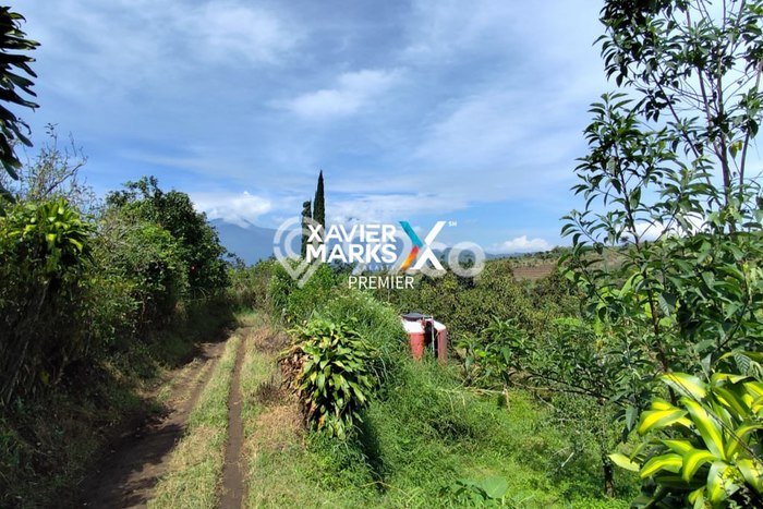 Kavling Tanah Dijual di Bumiaji, Batu, Luas 2500m2 Area Strategis Kavling Tanah Dijual di Bumiaji, Batu, Luas 2500m2 Area Strategis