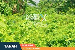Tanah di Lowokwaru, Malang Luas 539m2 Dijual Segera Tanah di Lowokwaru, Malang Luas 539m2 Dijual Segera