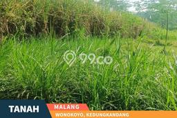Lahan Strategis di Kedungkandang Dijual dengan Luas 2946m2 Lahan Strategis di Kedungkandang Dijual dengan Luas 2946m2
