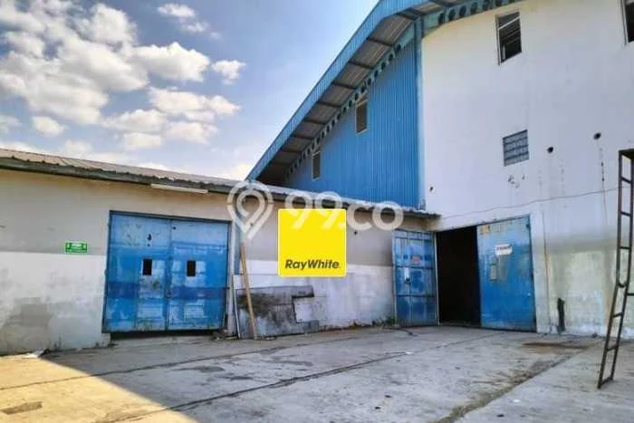 Disewakan Gudang Bisnis di Semarang Barat Semarang Harga Sewa Menarik Bisa Nego Disewakan Gudang Bisnis di Semarang Barat Semarang Harga Sewa Menarik Bisa Nego