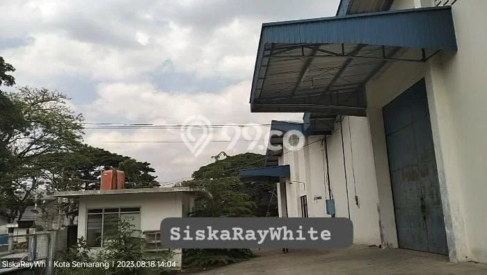 Gudang Komersial Disewakan di Semarang Barat Semarang Luas 1440m2 Gudang Komersial Disewakan di Semarang Barat Semarang Luas 1440m2